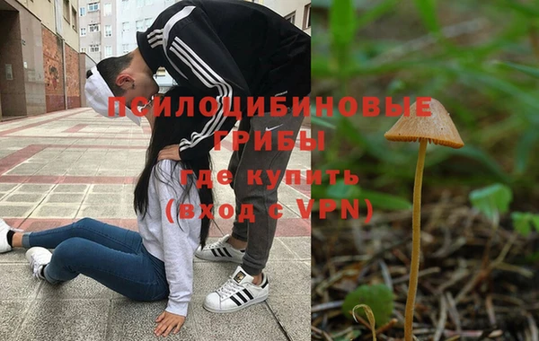 ALPHA PVP Беломорск